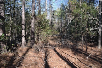 4051 Hard Scrabble Rd, Columbia, SC 29223 - photo 3