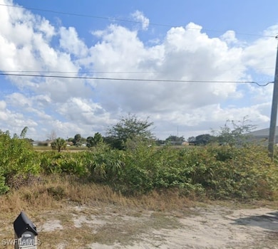View of local wilderness