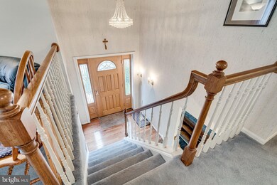 4920 King Solomon Dr, Annandale, VA 22003 - photo 5