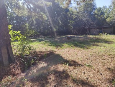 23411 Edith St, Hockley, TX 77447 - photo 5