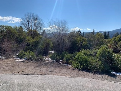 Lot 8 Twin View Ct, Mount Shasta, CA 96067 - photo 6