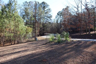 1049 Lakeside Dr, Lincolnton, GA 30817 - photo 7