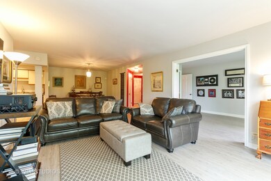 3415 Vollmer Rd unit 303, Flossmoor, IL 60422 - photo 5