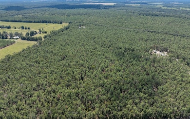 TBD 180th St, Live Oak, FL 32060 - photo 3