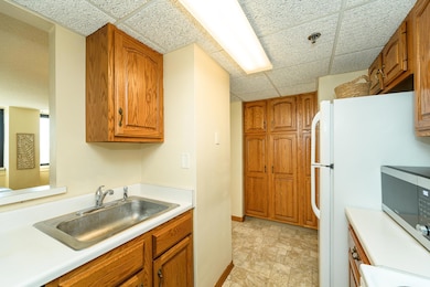 220 Broadway Ave S unit 1112, Rochester, MN 55904 - photo 6