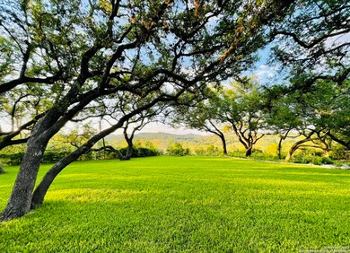 20144 High Bluff Rd, Helotes, TX 78023 - photo 3