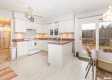 2705 36th St, Rock Island, IL 61201 - photo 4