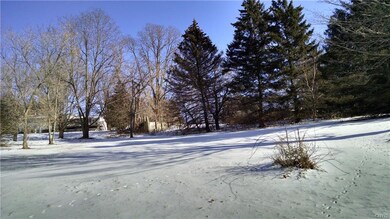 Notice the rabbit prints in the snow.