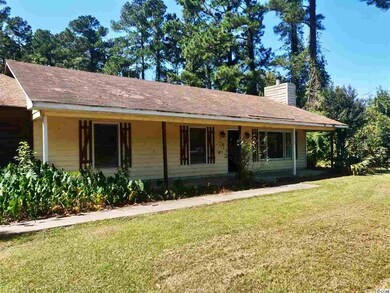 7199 Highway 134, Conway, SC 29527 - photo 3