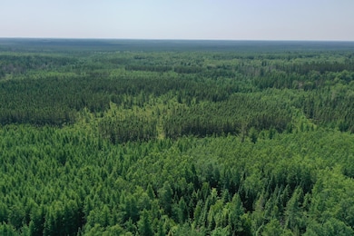 TBD Arkola Rd E, Kelsey, MN 55724 - photo 4