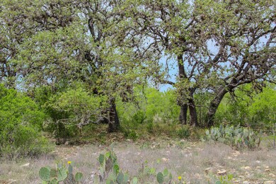 TBD Cr 341, Hondo, TX 78861 - photo 4