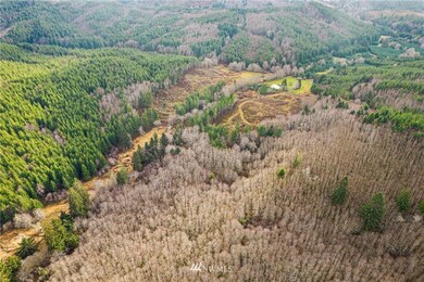 0 Elk Creek Rd unit NWM1890793, Raymond, WA 98577 - photo 5