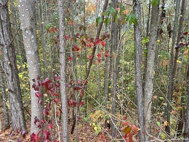 427 Spring Lake Hills, White, GA 30184 - photo 2