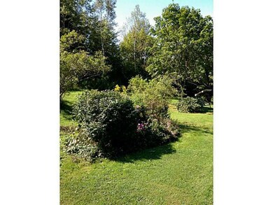 Yard/Garden.