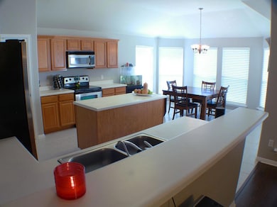 930 Satellite View, Round Rock, TX 78665 - photo 2