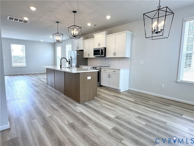 132 This Way, Midlothian, VA 23114 - photo 6