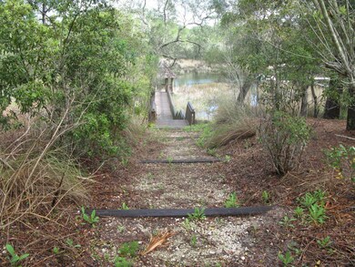 Pine Cone Trail #9