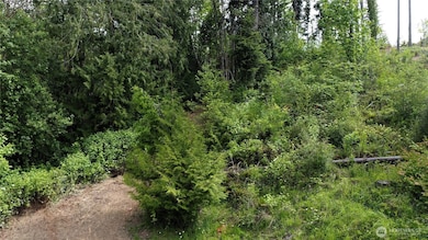 112 Tillicum Rd, Chehalis, WA 98532 - photo 5