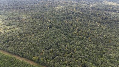 0 Parish Road 660 Lot unit WP001, Winnfield, LA 71483 - photo 4