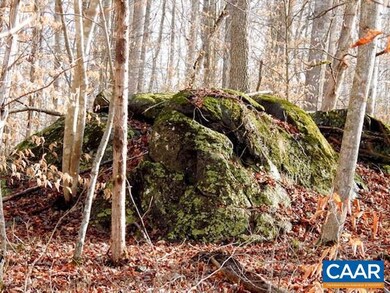 0 Frays Meadow Ln unit 615104, Earlysville, VA 22936 - photo 4