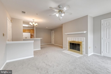 4408 Silverbrook Ln unit K201, Owings Mills, MD 21117 - photo 5
