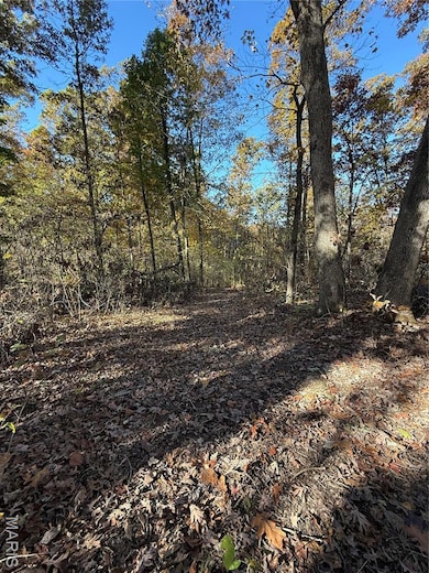 unlisted-address, de Soto, MO 63020 - photo 6