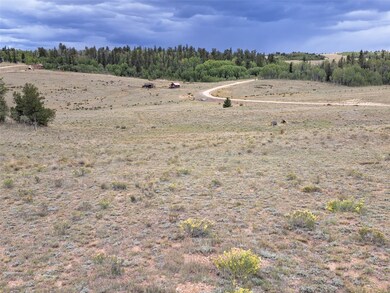 900 Remington Rd, Jefferson, CO 80456 - photo 4