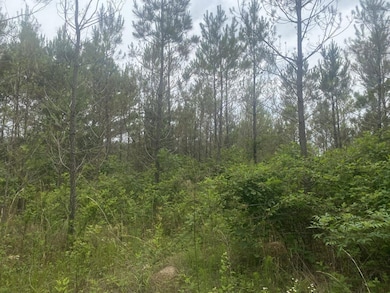 Big Opposum Creek Rd, Waynesboro, TN 38485 - photo 3