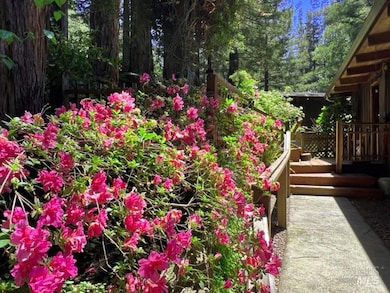 Front Entrance Walkway!