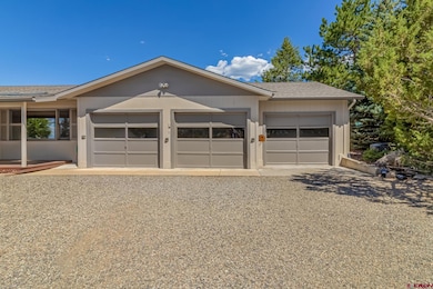 18317 Highway 65, Cedaredge, CO 81413 - photo 5