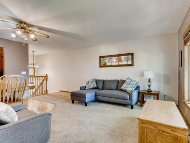 11278 Osage  St Nw Coon Rapids-004-005-Living Room