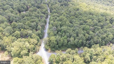 TBD Birds Nest Rd, Hinton, VA 22831 - photo 4