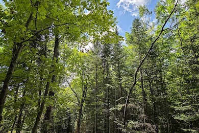 Complete privacy with a mix of hardwoods