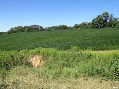 0 N Highway 9 County Rd unit RMAPA1260470, Lewistown, IL 61542 - photo 4