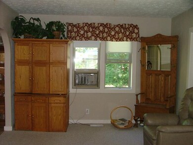 14646 Louhi St, Kaleva, MI 49645 - photo 6