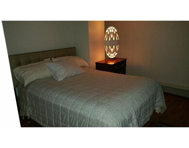 180 W Brookline St unit 6-2, Boston, MA 02118 - photo 4