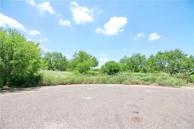 6909 Kathy Ln, Donna, TX 78537 - photo 5