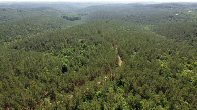 0 Sinking Creek Prong, Linden, TN 37096 - photo 6