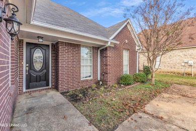 814 Clearview Cove, Southaven, MS 38672 - photo 4