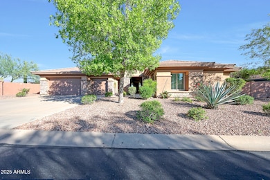 Front Yard in Daylight