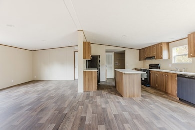 569 Henry Hart Rd, Leslie, GA 31764 - photo 5