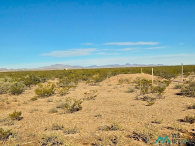 888 Las Palomas Canyon Rd Roads, Las Palomas, NM 87942 - photo 6