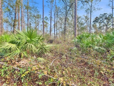 465 NE River Ridge Way, Lee, FL 32059 - photo 6