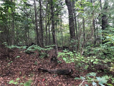 Lot 233 Deer Run, Purlear, NC 28665 - photo 6