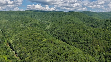 DJI_20250727150705_0002_D