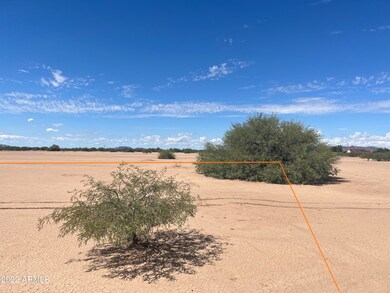 Looking West2