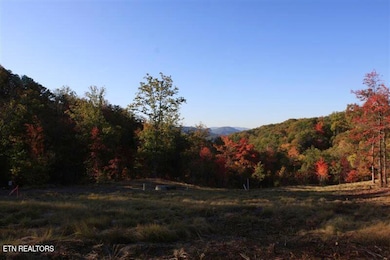 0 Fern Point Dr, Sevierville, TN 37862 - photo 5