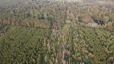 ON Pine Rd N, Tomahawk, WI 54487 - photo 7