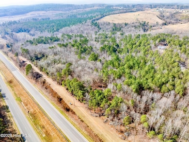 Tbd W US 74 Hwy, Rockingham, NC 28379 - photo 3