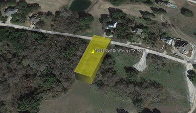 15033 Golf Dr, Whitney, TX 76692 - photo 3